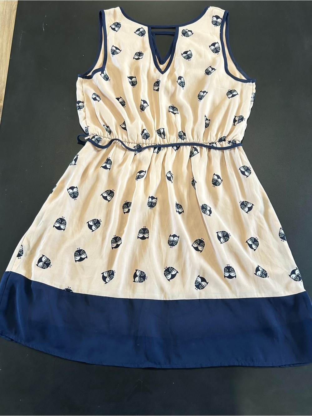 Pink Owl Light Pink Dress with Navy Trim and Owl Motif
